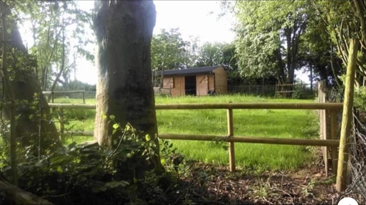 Meerkat Manor Colwall ภายนอก รูปภาพ